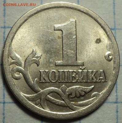РАЗНОВИДНОСТИ  от  СЛФ - DSC08765.JPG