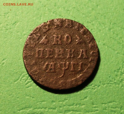 копейка Петра 1 до 2.12.2020 - 1713мд (9).JPG