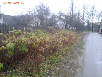 перекличка городов по температуре - 2020-11-26 10.43.10