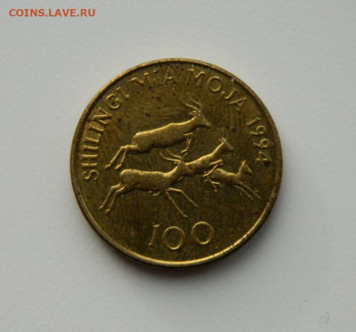 Танзания 100 шиллингов 1994 г. (Фауна) до 01.12.20 - DSCN3620.JPG