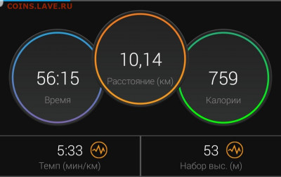 Кто-нибудь бегает? - Screenshot_20201126-214452_Connect