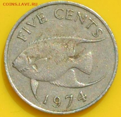 Бермудские острова 5 центов 1974. 29. 11. 2020 в 22 - 00. - DSC_0105.JPG