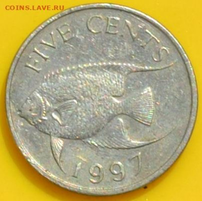 Бермудские острова 5 центов 1997. 29. 11. 2020 в 22 - 00. - DSC_0111.JPG