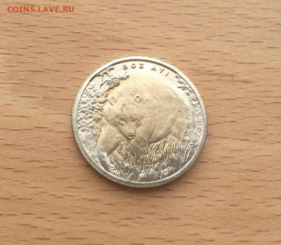 биметалл Турция 1 лира 2011 UNC Медведь Красная Книга фауна - bimetall_turcija_1_lira_2011_unc_medved_krasnaja_kniga_fauna_zhivotnye (1)