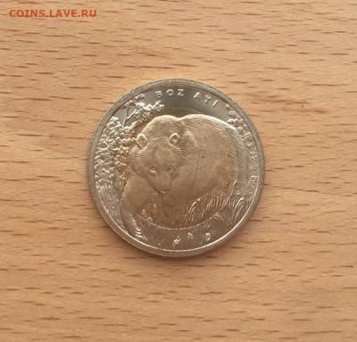 биметалл Турция 1 лира 2011 UNC Медведь Красная Книга фауна - bimetall_turcija_1_lira_2011_unc_medved_krasnaja_kniga_fauna_zhivotnye