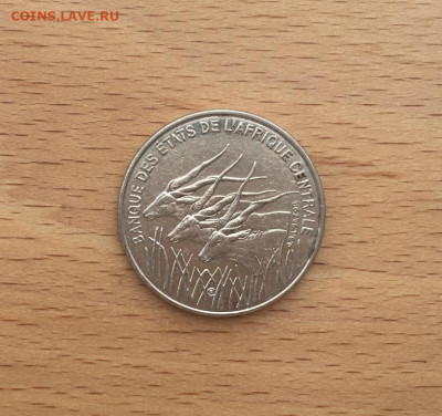 Центральная Африка BEAC 100 франков 1998 Антилопы фауна - centralnaja_afrika_beac_100_frankov_1998_antilopy_fauna_zhivotnye (1)