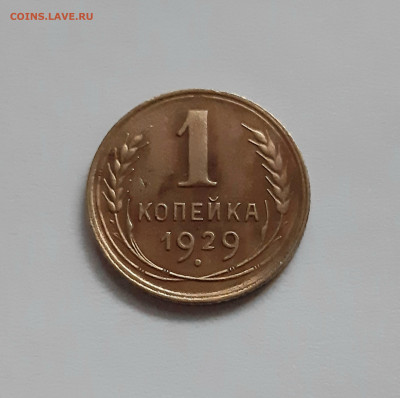 1 копейка 1929 год. До 28.11. в 22-10 МСК. - 20201128_155826