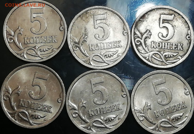 Нужна помощь в определении разновидностей. - IMG_20201128_165131