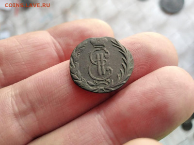 денга сибирь 1769 до 01.12.2020 - 1769 (4) - копия