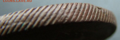 3 кольцевика на оценку - DSCF2795.JPG