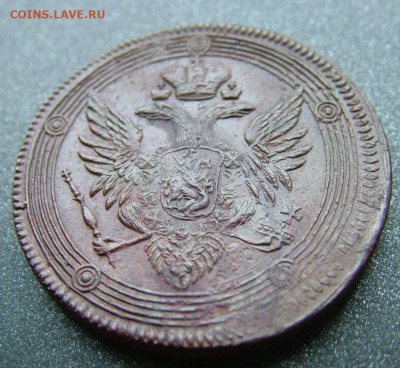 3 кольцевика на оценку - DSCF2807.JPG