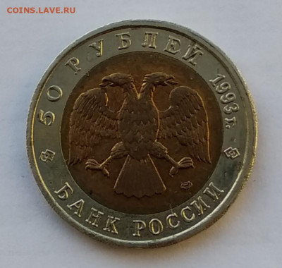 50 р Туркменский зублефар - IMG_20201129_135253~2