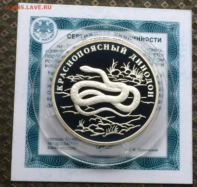 1 рубль 2007г. К.К. Динодон. до 06.12.20 - IMG_2467.JPG