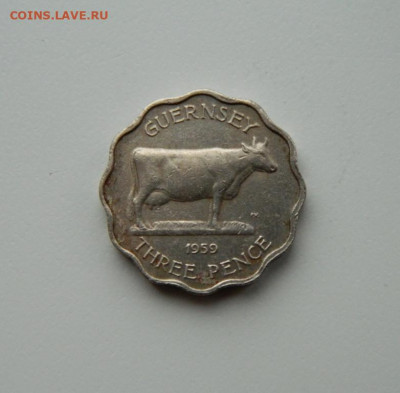 Гернси 3 пенса 1959 г.(Корова). до 07.12.20 - DSCN3856.JPG