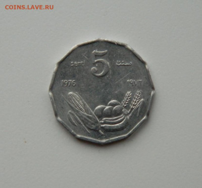 Сомали 5 центов 1976 г. (ФАО) до 07.12.20 - DSCN3779.JPG