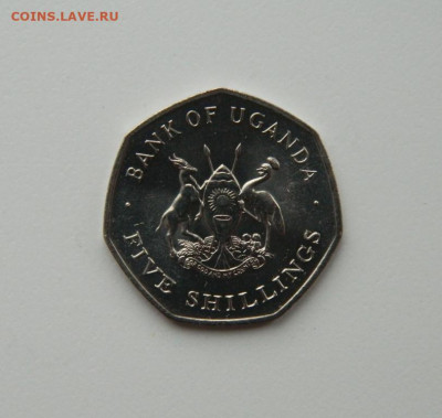 Уганда 5 шиллингов 1987 г.(без обращения) до 07.12.20 - DSCN3754.JPG