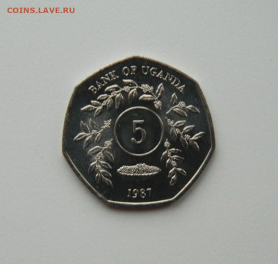 Уганда 5 шиллингов 1987 г.(без обращения) до 07.12.20 - DSCN3755.JPG