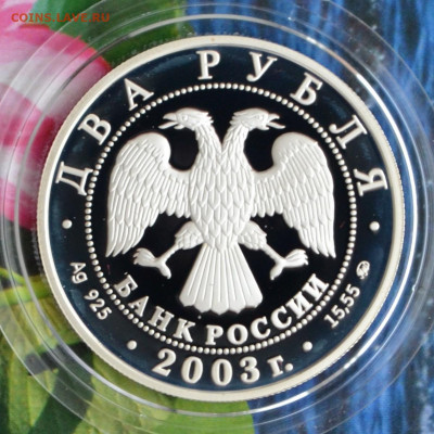 2 рубля Гиляровский - DSC_0138.JPG