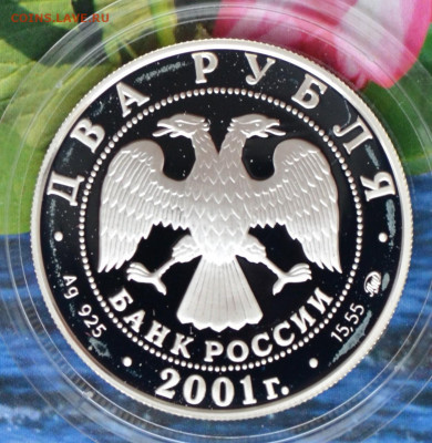 2 рубля Даль - DSC_0224.JPG