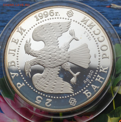 25 рублей Амурский Тигр - DSC_0187.JPG