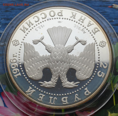 25 рублей Амурский Тигр - DSC_0183.JPG