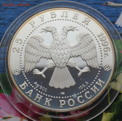 25 рублей Амурский Тигр - DSC_0175.JPG