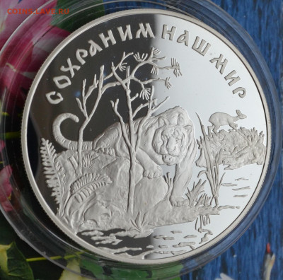 25 рублей Амурский Тигр - DSC_0171.JPG