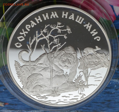 25 рублей Амурский Тигр - DSC_0167.JPG