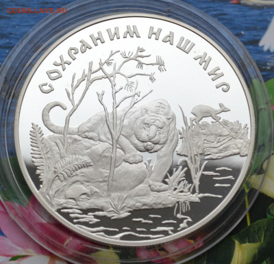 25 рублей Амурский Тигр - DSC_0159.JPG