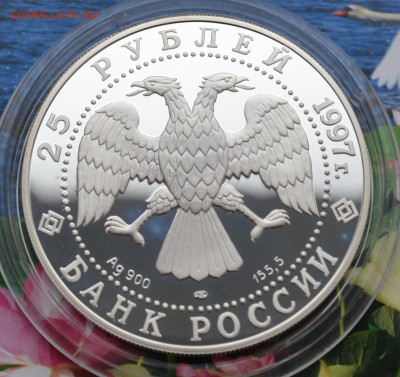 25 рублей Белый медведь - DSC_0082.JPG