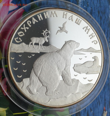 25 рублей Белый медведь - DSC_0080.JPG