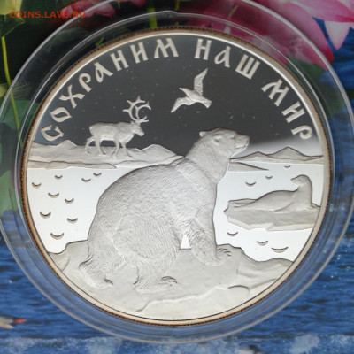 25 рублей Белый медведь - DSC_0076.JPG