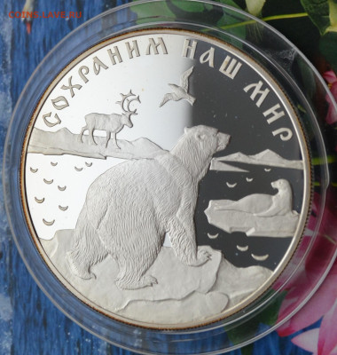 25 рублей Белый медведь - DSC_0072.JPG