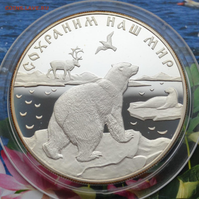 25 рублей Белый медведь - DSC_0065.JPG
