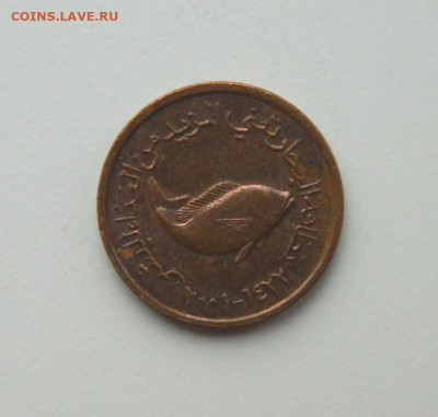 ОАЭ 5 филсов 1973 г. (Фауна). до 07.12.20 - DSCN3860.JPG
