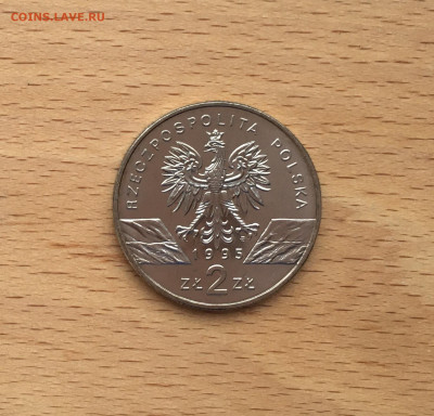 Польша 2 злотых 1995 Сом фауна - IMG_8979.JPG