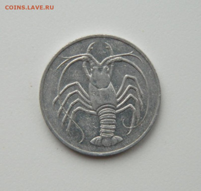 Южный Йемен 5 филсов 1973 г. (Фауна) до 07.12.20 - DSCN3805.JPG