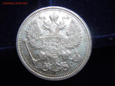 Бокс дл монет из дуба 50 ячеек на 44 мм  + 20 коп 1915 - wchSI-yY3w0