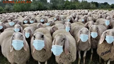 N-CoV(CoronaVirus) КоронаВирус.Последние новости - 7555
