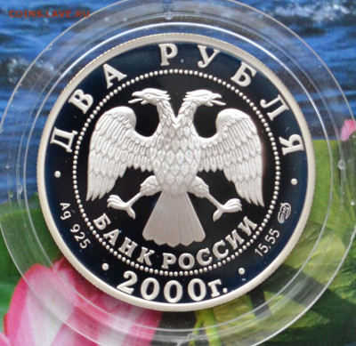 2 рубля Чигорин - DSC_0166.JPG
