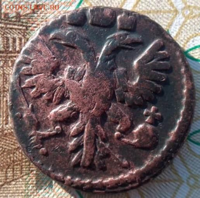 Полушка 1735. Оценка - 2