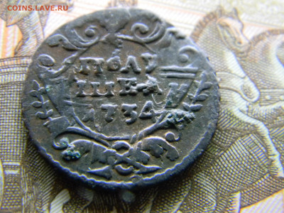 полушка 1734 перечекан из крестовой копеки - Изображение 8268