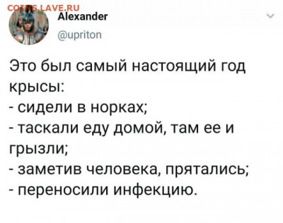 юмор - Год Крысы