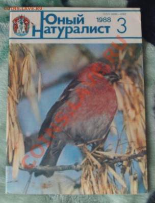 Журнал "Юный натуралист" 1982-1989 годов, оцените - PHOT0230.JPG