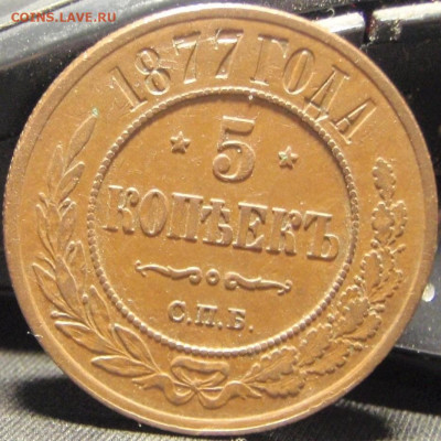 5 копеек 1877 - фпук 001.JPG