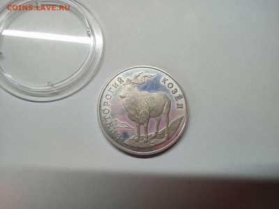 1 рубль Винторогий козёл, ПРУФ, до 09.12.2020г. - IMG_20201206_104743_thumb