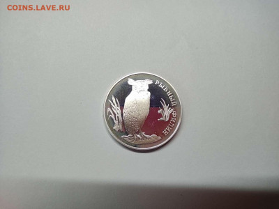 1 рубль Рыбный филин, ПРУФ, до 09.12.2020г. - IMG_20201206_104827_thumb
