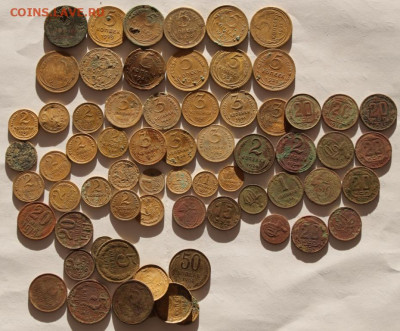 Советы ранние  50 шт.до 11.12.20 по 21.00 мск - IMG_7817.JPG