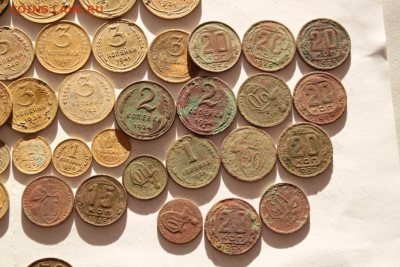 Советы ранние  50 шт.до 11.12.20 по 21.00 мск - IMG_7819.JPG