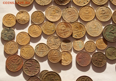 Советы ранние  50 шт.до 11.12.20 по 21.00 мск - IMG_7820.JPG